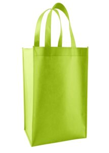 Non Woven Carry Bag Manufacturer